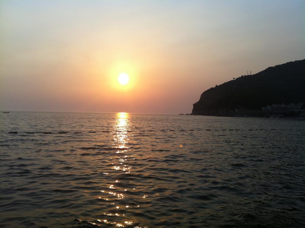 Regent Apartment Petrovac Værelse billede